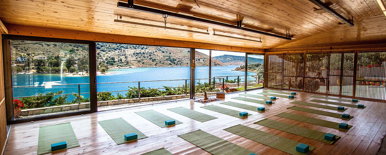 Yoga studio on Evia Island that we use for our courses