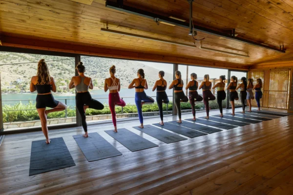 P1000274-HDR (1) (2) Yoga students demonstrating tree pose in the studio during a yoga teacher training on Evia Island, Greece.