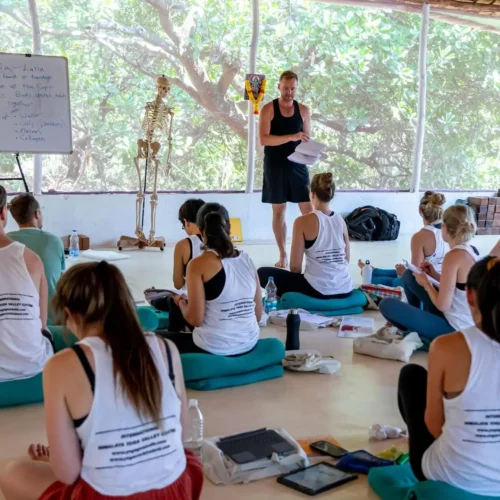 Yin To The Yang Yoga