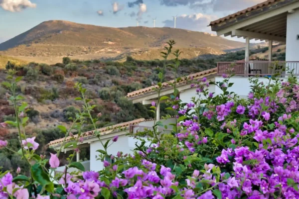 IMG_5488-scaled IMG_5488-scaled