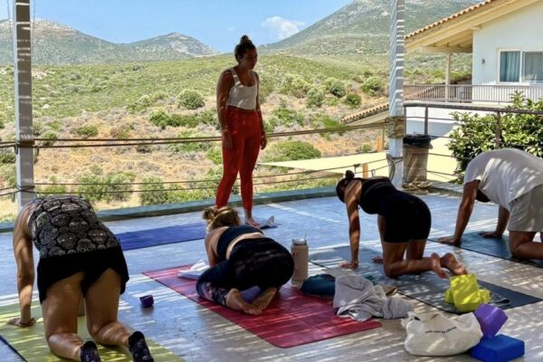 3ed0dbdc-bdab-43e8-9594-a88321d6eb27 3ed0dbdc-bdab-43e8-9594-a88321d6eb27