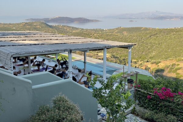 IMG_9290 Large IMG_9290 Large