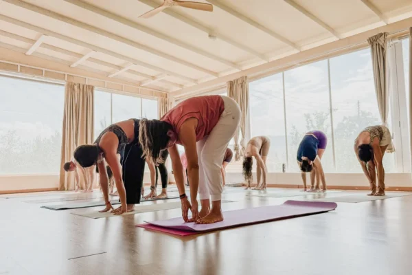 ytt class Drepano yoga shala ytt class Drepano yoga shala